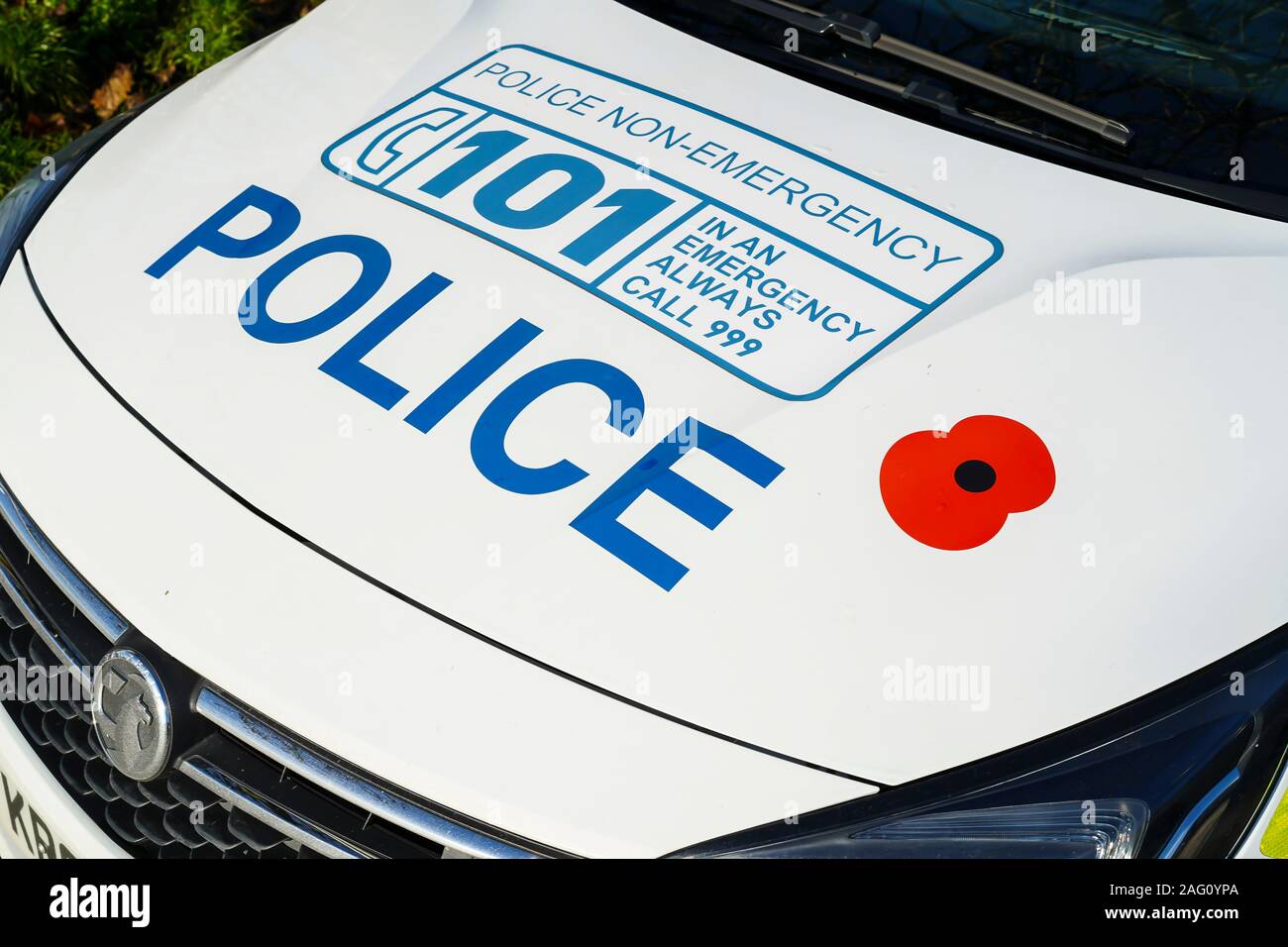 close-up-of-sign-writing-on-police-vehicle-bonnet-advertising-101-telephone-number-for-non-emergency-uk-police-service-2AG0YPA